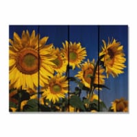 Day Dream SB2216 22 x 16 in. Sunny Bunch Inside & Outside wood Wall Art