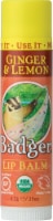Badger® Organic Lip Balm Ginger and Lemon Perspective: Main