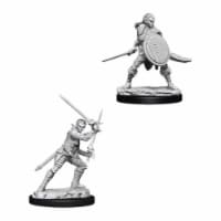 Wizkids Pathfinder Battles Deep Cuts Unpainted Female Elf Fighter Figure Set