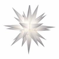Plastic Development Group Outdoor 21  Prelit LED Christmas Holiday Star, White