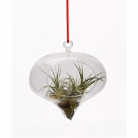 Athenas Garden LO-HCH0305-2APS-1APM-L -PRSM-MIX Raindrop Glass Terrarium Ornament Set