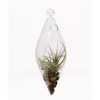Athenas Garden LO-HCH0408-2APS-1APM-L -PRSM-MIX 9 in. Diamond Hanging Glass Terrarium Set