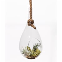 Athenas Garden LO-HCH0913-2APS-1APM-L -PRSM-MIX 13 in. Rope Hanging Glass Terrarium Set