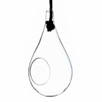 Athenas Garden HCH0913 6 in. Small Clear Rope Hanging Terrarium & Vase