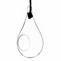 Athenas Garden HCH0916 7.5 in. Small Clear Rope Hanging Terrarium & Vase