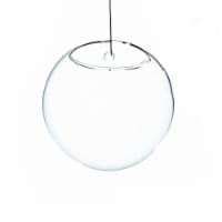 Athenas Garden HCH1105 5 in. Dia. Clear Half-Round Wall Hanging Terrarium & Vase, Set of 2