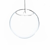 Athenas Garden HCH1107 7 in. Dia. Clear Half-Round Wall Hanging Terrarium & Vase