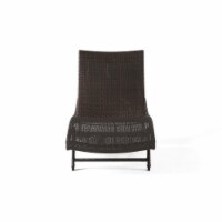 Eliana Brown Wicker Chaise Outdoor Lounge Chairs for Lawn, Patio