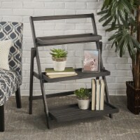 Cleo Indoor Chic Dark Grey Acacia Wood Plant Stand Dark Gray