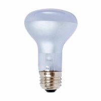 Agrosun Dayspot Incandescent Light Bulb, 60W, Pack of 1