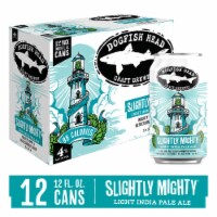 Dogfish Head Beer Slightly Mighty Lo-Cal IPA Beer Perspective: Main