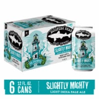 Dogfish Head Beer Slightly Mighty Lo-Cal IPA Beer Perspective: Main