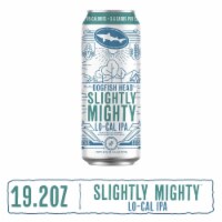 Dogfish Head Beer Slightly Mighty Lo-Cal IPA Beer Perspective: Main
