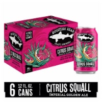 Dogfish Head Citrus Squall Double IPA Beer Perspective: Main