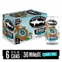 Dogfish Head 30 Minute Light IPA Beer Perspective: Main