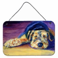 Carolines Treasures 7344DS812 Snoozer Airedale Terrier Wall or Door Hanging Pri
