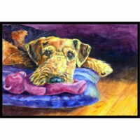 Carolines Treasures 7345JMAT Airedale Terrier Teddy Bear Doormat 24x36