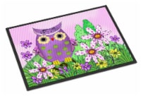 Carolines Treasures PJC1096JMAT Who is Your Friend Owl Doormat 24x36