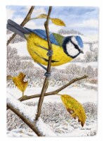 Carolines Treasures ASA2051GF Eurasian Blue Tits Bird Garden Flag