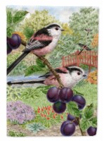 Carolines Treasures ASA2115GF Long Tailed Tits Garden Flag