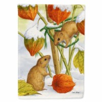 Carolines Treasures ASA2029CHF Harvest Mice Flag Canvas House Size