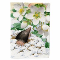 Carolines Treasures ASA2031CHF Mole House Flag