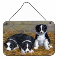 Carolines Treasures  ASA2196DS812 Border Collie Puppies Wall or Door Hanging Pri
