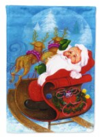 Carolines Treasures APH5775GF Christmas Santa Claus Good Night Garden Flag