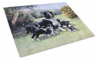 Carolines Treasures BDBA0257LCB Border Collie Puppies with Momma Glass Cutting