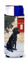 Carolines Treasures BDBA0301MUK Black Labrador by the Mail Box Ultra Hugger for