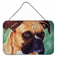 Boxer by Tanya and Craig Amberson Wall or Door Hanging Prints