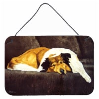 Collie by Tanya and Craig Amberson Wall or Door Hanging Prints