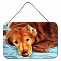 Golden Retriever by Tanya and Craig Amberson Wall or Door Hanging Prints