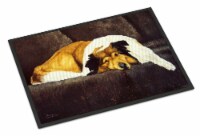 Carolines Treasures AMB1031JMAT Collie by Tanya and Craig Amberson Doormat 24x3