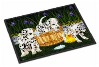 Carolines Treasures AMB1320JMAT Pass the Soap Dalmatian Doormat 24x36