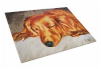 Carolines Treasures  AMB1202LCB Red Longhaired Dachshund Glass Cutting Board Lar