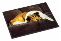 Carolines Treasures AMB1031MAT Collie by Tanya and Craig Amberson Doormat 18x27