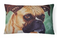 Boxer by Tanya and Craig Amberson Canvas Fabric Decorative Pillow