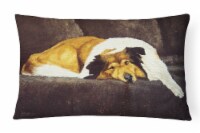 Collie by Tanya and Craig Amberson Canvas Fabric Decorative Pillow