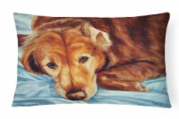 Golden Retriever by Tanya and Craig Amberson Canvas Fabric Decorative Pillow