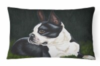 Carolines Treasures AMB1321PW1216 Boston Terrier Beauty Canvas Fabric Decorativ