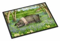 Carolines Treasures CDCO0377MAT Pig In Bluebells by Debbie Cook Doormat 18x27