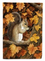 Carolines Treasures BDBA0388CHF Autumn Grey Squirrel by Daphne Baxter House Fla