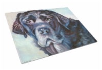 Carolines Treasures 7419LCB Black Labrador Face Glass Cutting Board Large