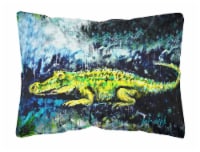 Carolines Treasures  MW1233PW1216 Sneaky Alligator Canvas Fabric Decorative Pill