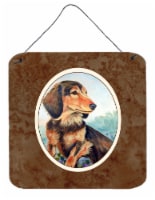 Long Hair Chocolate and Cream Dachshund Wall or Door Hanging Prints
