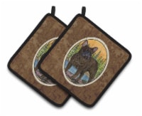 Carolines Treasures SS8597PTHD French Bulldog Pair of Pot Holders