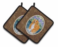 Carolines Treasures SS8619PTHD Nova Scotia Duck Toller Pair of Pot Holders