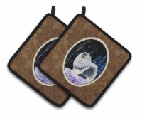 Carolines Treasures SS8357PTHD Starry Night Keeshond Pair of Pot Holders