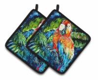 Carolines Treasures  MW1204PTHD Yo Yo Mama Parrot Pair of Pot Holders